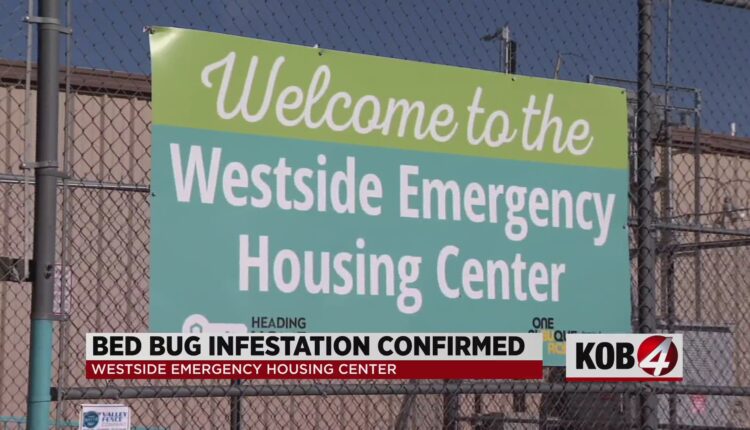 Bed bugs infest Westside shelter in Albuquerque
