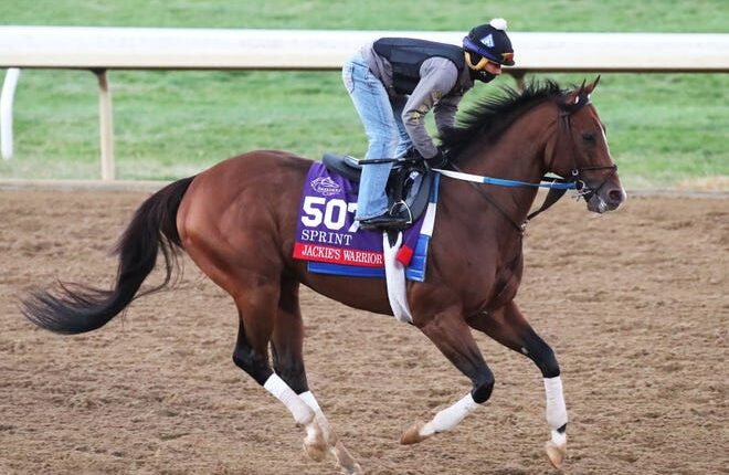 Jackie's Warrior is one of the top sprinters in the country and runs in Saturday's Breeders' Cup Sprint in Kentucky