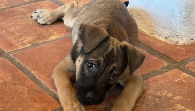 IMG_0682-scaled.jpg