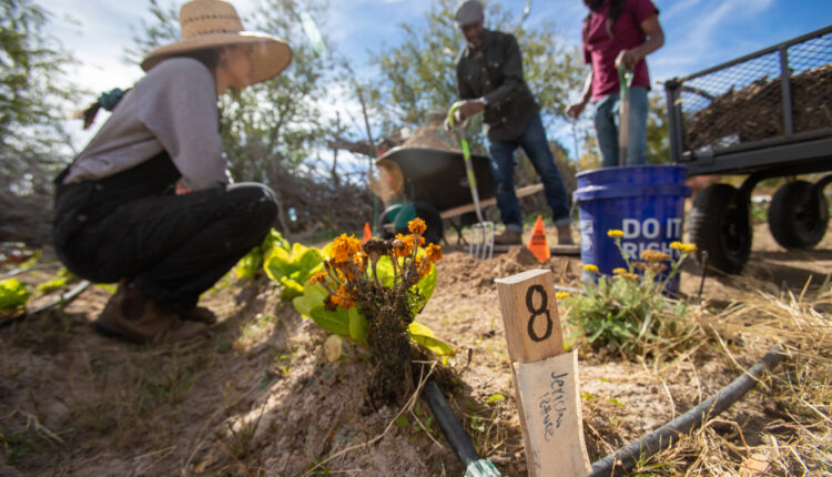 Meet the farmers trying to grow healthier food in the Southwest