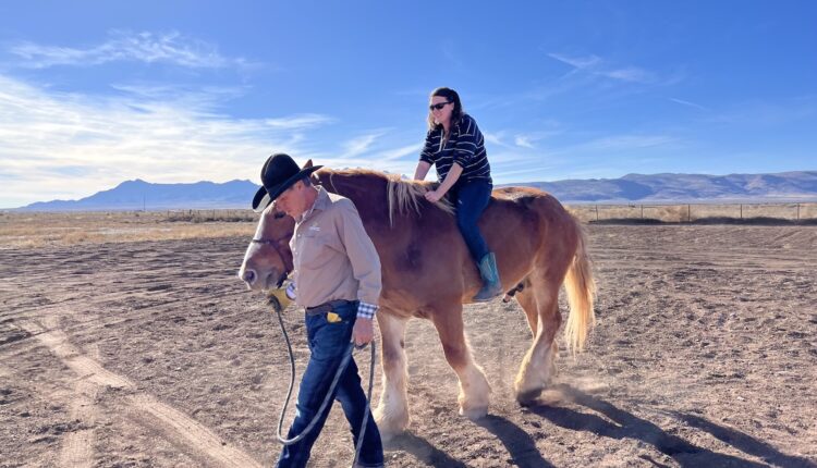 Saddlehawk Ranch: Teaching leadership through horsemanship
