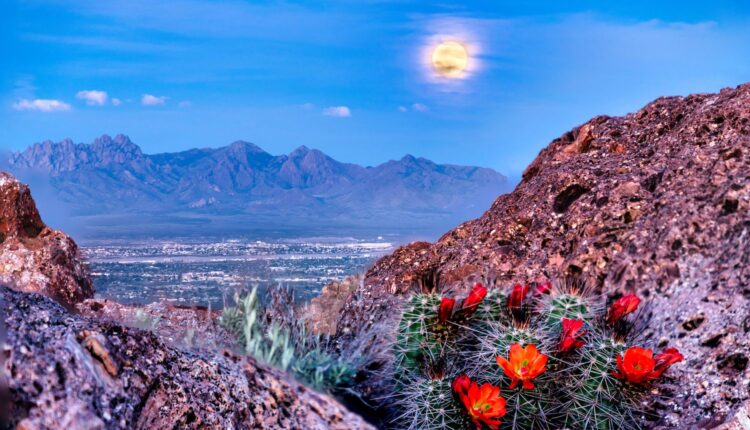 15 Free Things to Do in Las Cruces, NM

