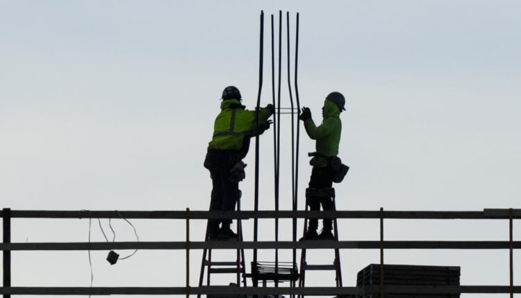 US hiring stays brisk as employers add 223,000 jobs
