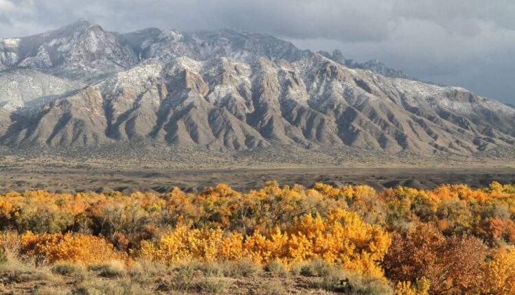 What's happening around New Mexico Jan 13 – Jan 19
