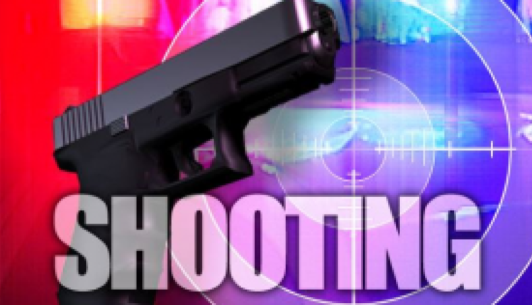 Authorities probe reported shooting at a New Mexico refuge
