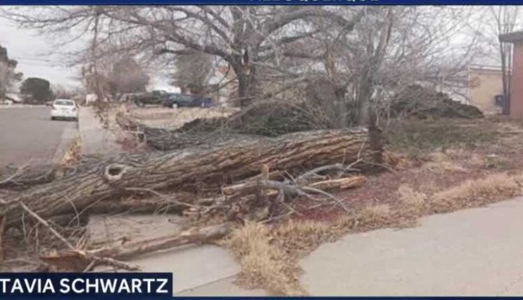 Strong winds cause damage in Albuquerque

