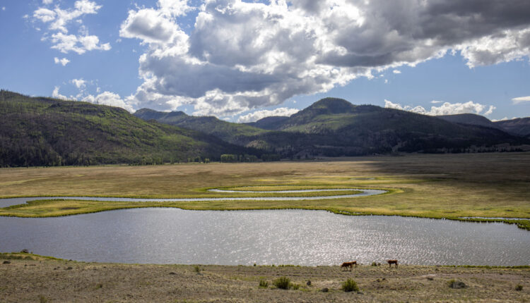A river wounded: Crisis on the Rio Grande