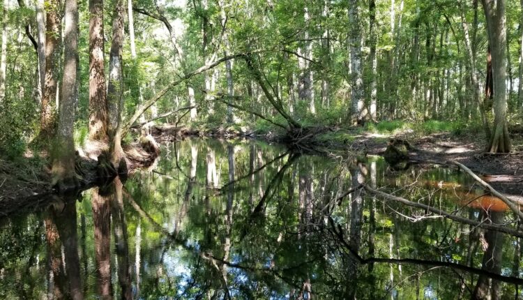 Santa Fe River
