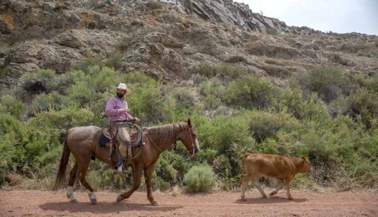Moral questions on a standard San Luis Valley farm
