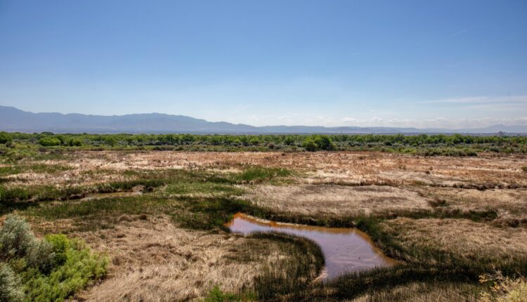 Watching the oxbow dry - Source New Mexico