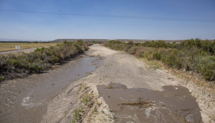 Salted earth at the tail of the Rio Grande’s snowmelt