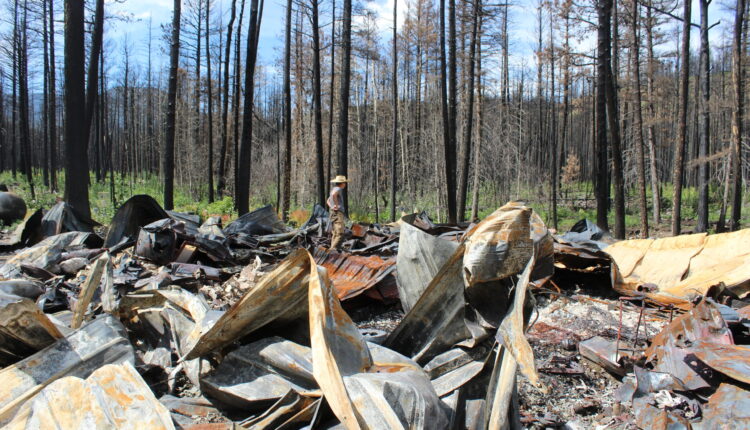 FEMA sent Hermits Peak-Calf Canyon Fire victims to wrong number (then fixed it)
