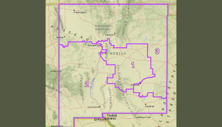 Non-partisan groups offer mixed evidence to judge deciding fairness of NM congressional map