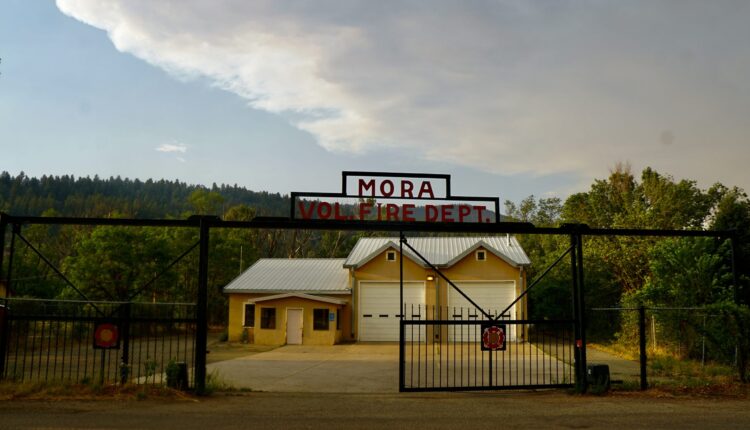 Mora selected for future reforestation center