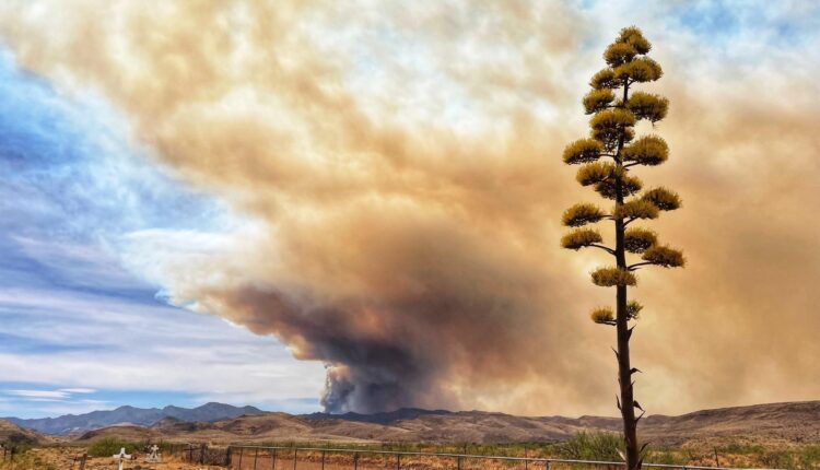 A massive plume from the Black Fire on June 9, 2022.