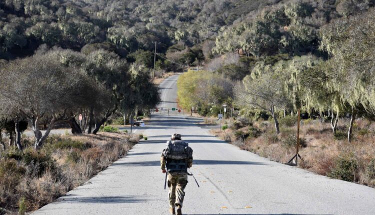 A photo of a soldier walking down in a forested area.