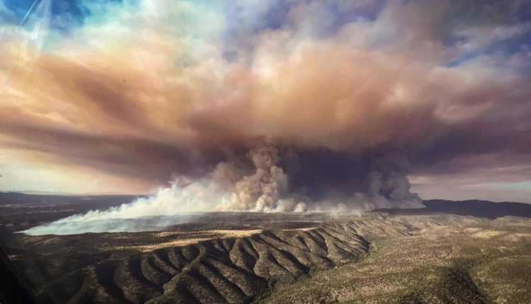 Wildfire potential ‘above normal’ through much of NM’s central mountains this summer • Source New Mexico