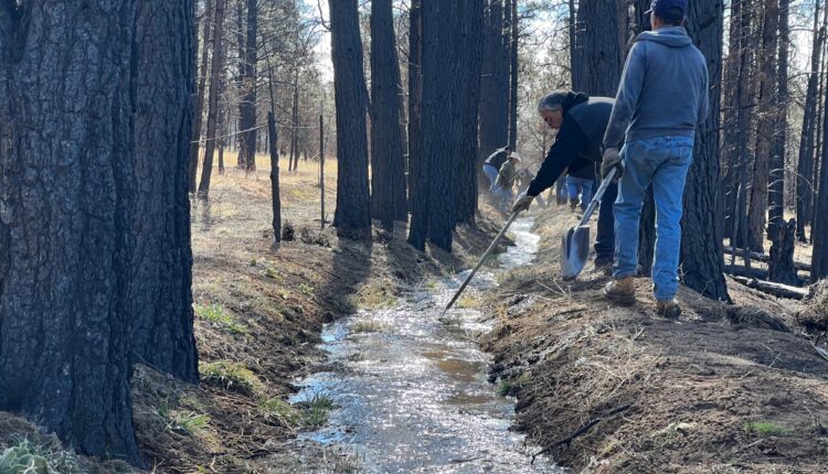 Acequia cleaning in the burn scar April 8